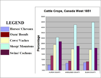 [ Chart Showing Cattle Crops, Selected Counties in Canada West, 1851, Compiled from government census data. , Natalie O'Toole, Great Unsolved Mysteries in Canadian History Team, Calgary,   ]