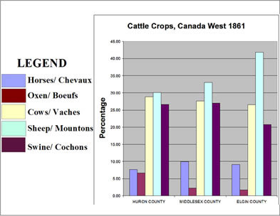 [ Chart Showing Cattle Crops, Selected Counties in Canada West, 1861, Compiled from government census data. , Natalie O'Toole, Great Unsolved Mysteries in Canadian History Team, Calgary,   ]