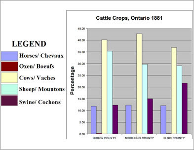 [ Chart Showing Cattle Crops, Selected Counties in Ontario 1881, Compiled from government census data. , Natalie O'Toole, Great Unsolved Mysteries in Canadian History Team, Calgary,   ]
