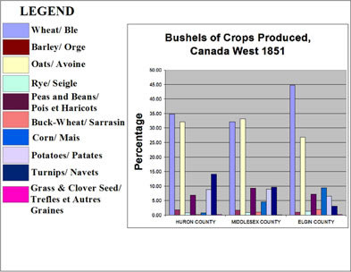 [ Chart Showing Bushels of Crops Produced, Selected Counties in Canada West, 1851, Compiled from government census data. , Natalie O'Toole, Great Unsolved Mysteries in Canadian History Team, Calgary,   ]
