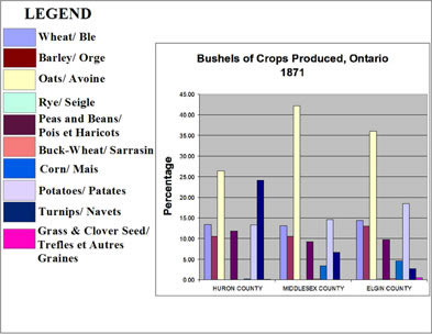 [ Chart Showing Bushels of Crops Produced, Selected Counties in Ontario, 1871, Compiled from government census data. , Natalie O'Toole, Great Unsolved Mysteries in Canadian History Team, Calgary,   ]