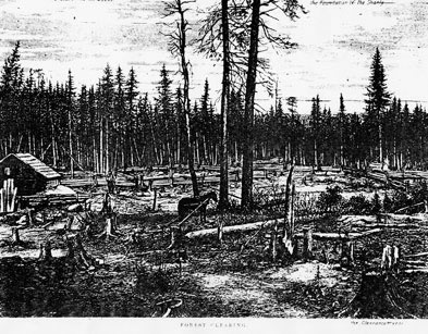 [ Clearing the Forest, 1879, Unknown, D.B. Weldon Library, University of Western Ontario AP5.C13 ]