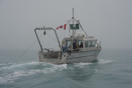 Le MV Investigator remorque le sonar latéral de Parcs Canada