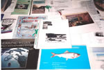 Information sur Jrme parmi les autres informations touristiques, Whale Cove Campground, Tiddville, Digby Neck
