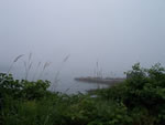 Sandy Cove in the mist
