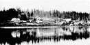 Les quais de New Westminster et la r�sidence du gouverneur g�n�ral sur la gauche