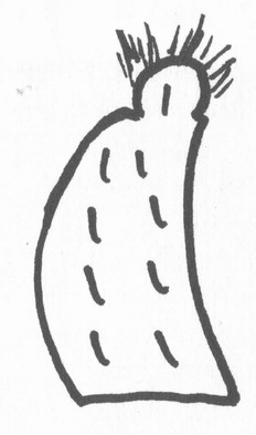 [ Smallpox Figure 1837, A Blackfoot representation of smallpox on a bison-robe 