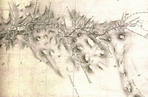 Palmer Map, Western Detail