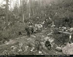 Prospecteurs avec convoi de btes de somme sur la piste Chilkoot, Alaska, 1897