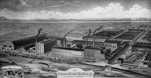 [ La Canada Sugar Refinery Co., gravure ]