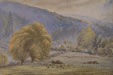 [ Willows, Saltspring Island ]