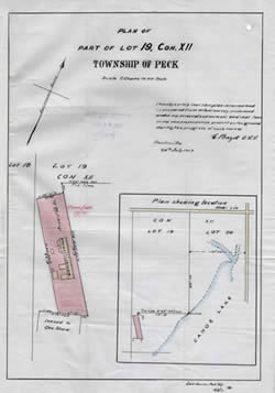 [ Plan of part lot 19, Con. XII, Township of Peck ]