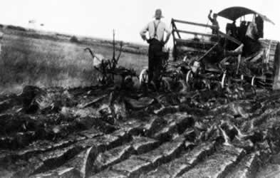 [ La communaut� des Doukhobors �tait reconnue pour son utilisation des technologies les plus r�centes, dont une charrue � vapeur pour p�n�trer le sol de prairie, Unknown, Plakun Trava p. 94 ]