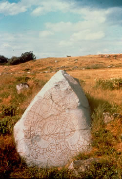 Adels runestone, U11, Hovgrden, Adels. Located by the ruins of the medieval royal seat Adels in Uppland, Sweden.