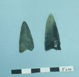 Dorset Palaeoeskimo Harpoon Tips