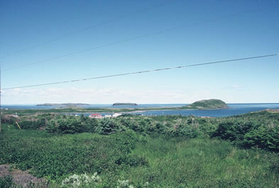 Area View Facing Northwest