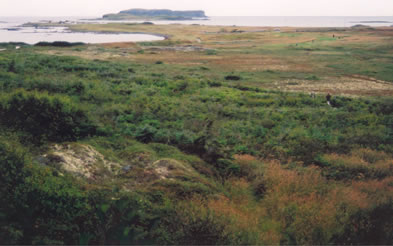 View from Ridge South of Site