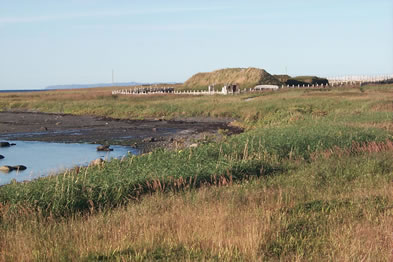Shoreline