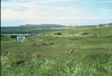 LAM in July