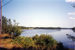 The Miramichi River