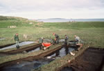 Bog Excavation West of Hall A, 1976