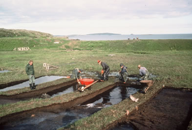 Bog Excavation West of Hall A, 1976