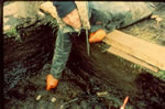 Bog Excavation