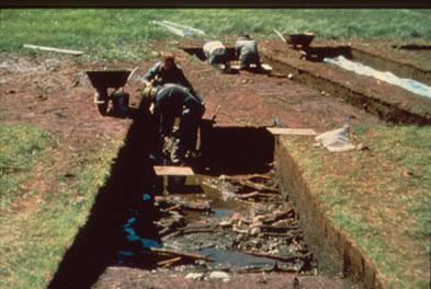 Fouilles de la tourbi�re, strate du milieu