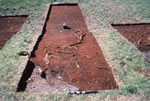 Upper Layer Bog Excavation, Facing West