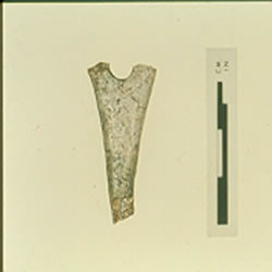 Fragment d’une aiguille en os dcouvert dans le foyer de la halle D