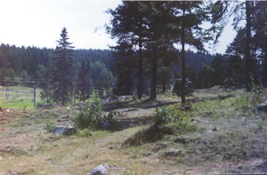 Viking Age burial site before excavation, Mrsta, Sweden