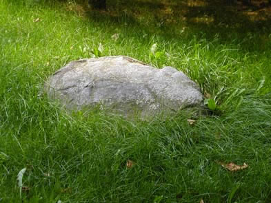 [ One of the Fieldstones That Supported the Donnelly Home, The fieldstones that supported the Donnelly home can still be seen today in their original location. Thanks to Robert Salts, present-day owner of the Donnelly Homestead, who allowed this photograph to be taken. Copyright Great Unsolved Canadian Mysteries Project, Jennifer Pettit,   ]