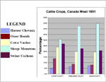 Chart Showing Cattle Crops, Selected Counties in Canada West, 1851