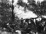 Scene from a Logging Bee, 1880