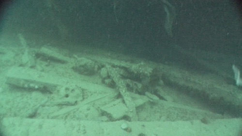 Image from a remotely operated vehicle (ROV) of 3 dead-eyes on the wreck of HMS Erebus