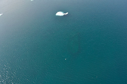 HMS "Investigator" as Seen from the Helicopter