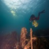 Holding a bag to carry samples, an Underwater Archaeologist swims above the deck of HMS Erebus