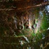 Detail of embossed “1845” on the bell of HMS Erebus