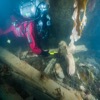 An underwater archaeologist examines the remains of a fallen mast cap from the Erebus wreck