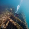 During storms, this part of the HMS Erebus wreck is exposed to the elements and is subjected to a great deal of pressure