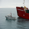 MV "Investigator" Next to the CCGS "Sir Wilfrid Laurier" in Alexandra Strait Northern Search Area