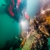 HMS Terror belaying pins still in place on the port side – summer 2015