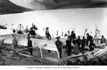 Prospecteurs du Klondike construisant un bateau, possiblement au lac Bennett ou au lac Lindeman
