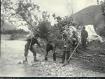 Cinq prospecteurs lavant du sable aurifère à la batée