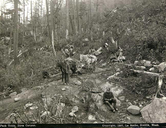 [ Prospecteurs avec convoi de b?tes de somme sur la piste Chilkoot, Alaska, 1897 ]