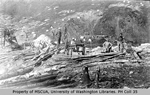 Quatre mineurs extrayant de l’or sur la concession Sarvant, Adams Hill