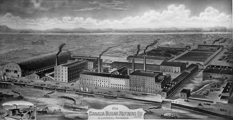 [ Canada Sugar Refinery Co., engraving ]