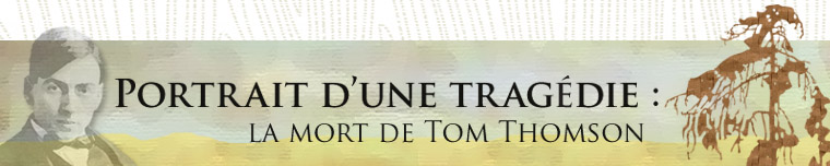Thomson site banner
