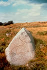 Pierre runique d'Adels, U11, Hovgrden, Adels. Situe dans les ruines du chteau royal dAdels  Uppland, en Sude.