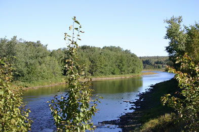 The Miramichi River at the Point the River Makes an Oxbow